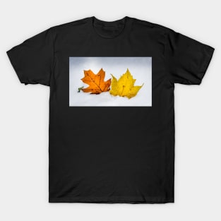 Two Leaves In Snow T-Shirt